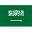 Saudi Arabia U20