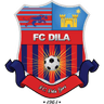 Dila Gori