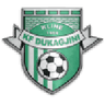 Dukagjini